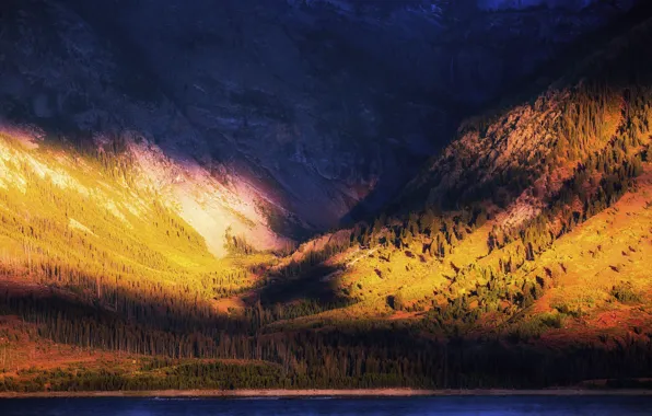 Картинка осень, лес, вода, свет, горы, природа