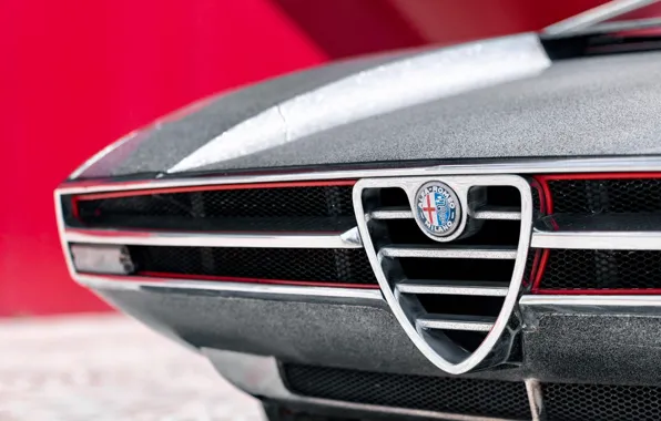 1969, Alfa Romeo, logo, close-up, front, Italdesign, Giugiaro, Tipo 33