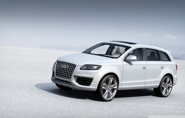 Audi, равнина, белая
