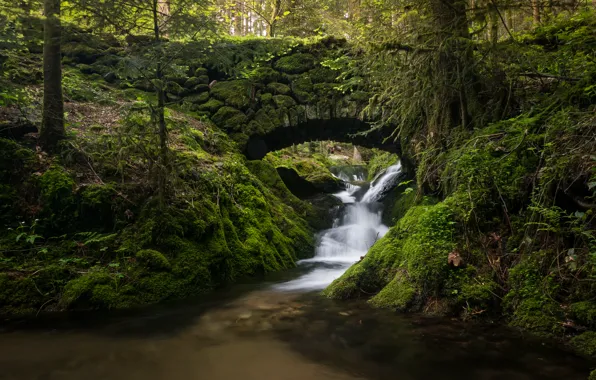 Картинка лес, мост, ручей, Германия, речка, каскад, Germany, Black Forest