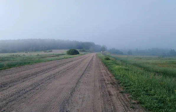Дорога, Туман, Трава, Лес
