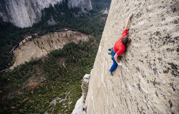 Лес, пейзаж, горы, природа, спорт, высота, долина, sport