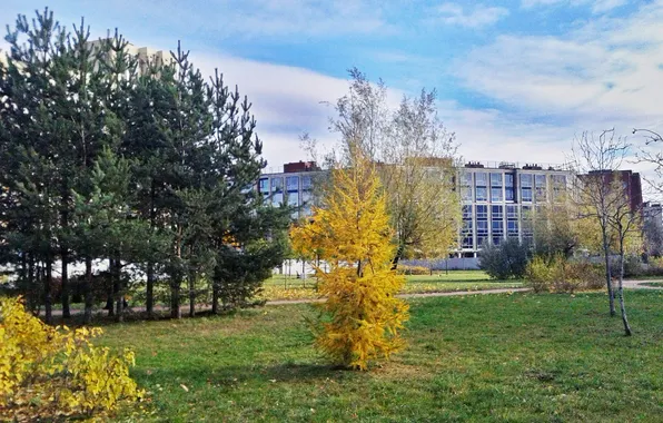 Осень, пейзажи, октябрь 31-2024, последний день осени