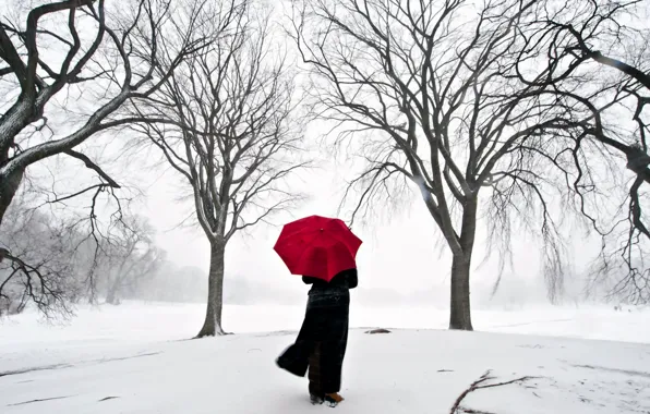 Девушка, снег, япония, зонт, сакура
