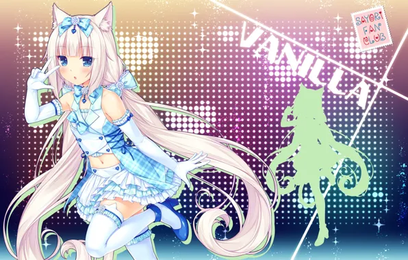 Girl, sexy, Anime, blouse, pink hair, long hair, blue eyes, tail