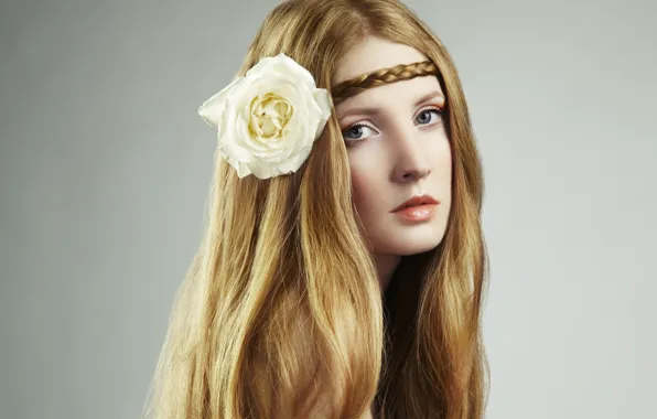 Картинка цветок, взгляд, девушка, лицо, длинные волосы, косичка, белая роза