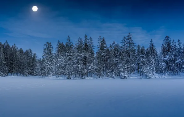 Зима, лес, снег, деревья, луна, Швейцария, Switzerland, Юра
