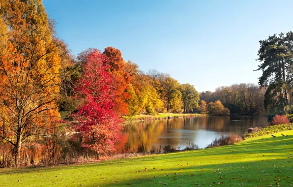 Осень, пейзаж, озеро, парк, landscape, park, autumn, lake