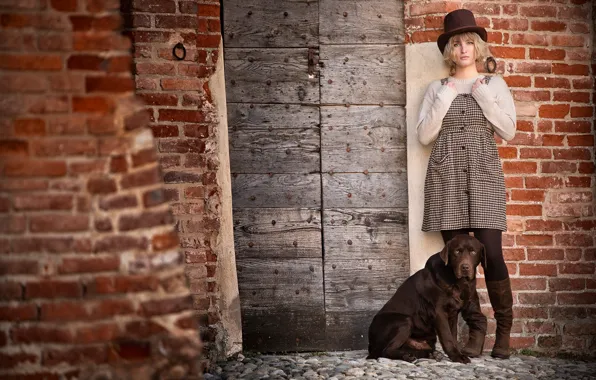 Картинка девушка, стена, собака, Лабрадор-ретривер