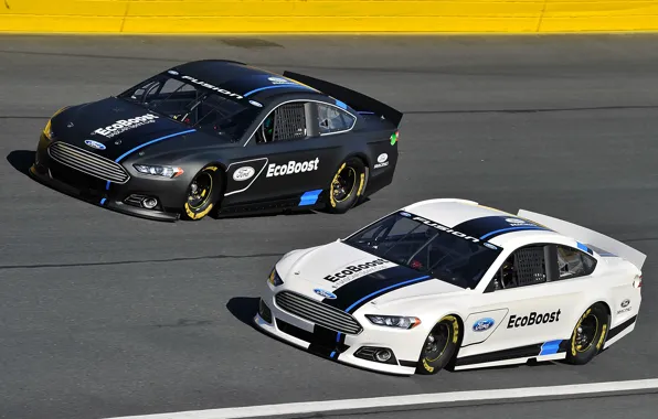 Две, трасса, Ford, Fusion, посадка, просвет, NASCAR