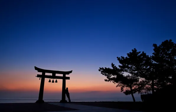 Небо, деревья, закат, оранжевый, человек, вечер, Япония, силуэт