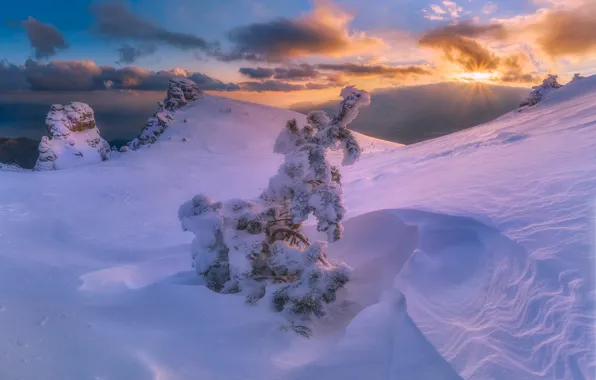 Картинка зима, снег, пейзаж, горы, природа, Крым, Демерджи, деревца