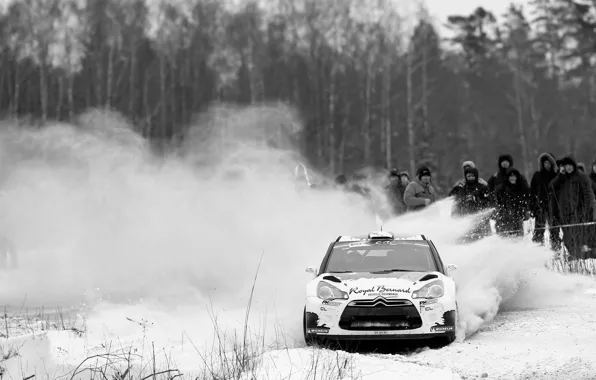 Снег, Citroen, DS3, ситроен, чёрно белое фото, Bryan Bouffier, ERC