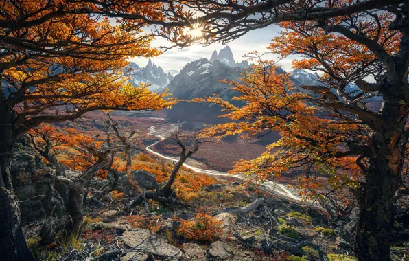 ЛЕС, ПРИРОДА, ГОРЫ, НЕБО, ВЕРШИНЫ, РЕКА, ДЕРЕВЬЯ, ВЕТКИ