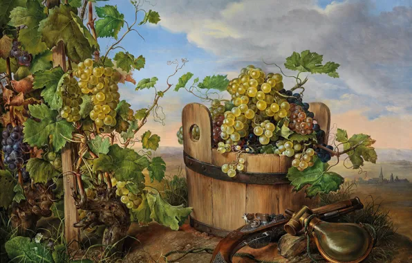 Картинка виноград, натюрморт, кадка, Franz Xaver Petter