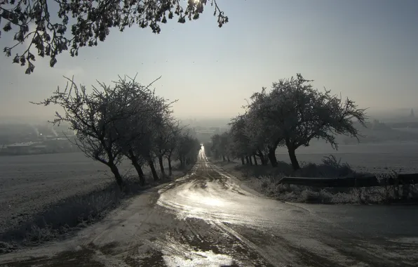 Картинка туман, утро, пейзаж, дорога