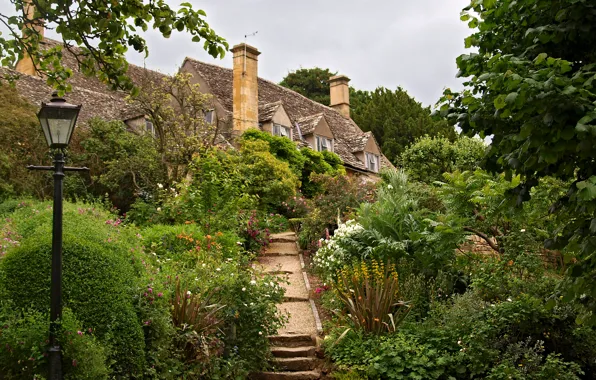 Природа, фото, Англия, сад, фонарь, кусты, Tewkesbury