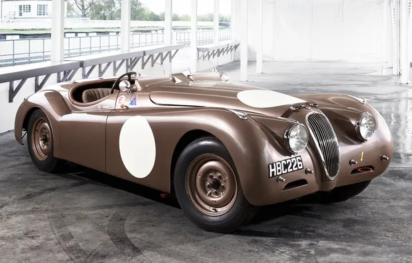 Картинка Roadster, Jaguar, Ягуар, классика, передок, 1950, Competition, 120