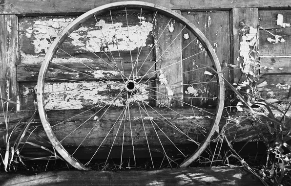 Metal, white, black, wood, bicycle wheel