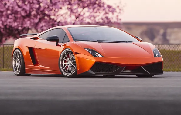 Авто, Машина, Оранжевый, Gallardo, Lamborghini Gallardo, Передок, Спорткар, Transport & Vehicles