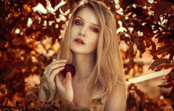Картинка взгляд, девушка, лицо, фон, яблоки