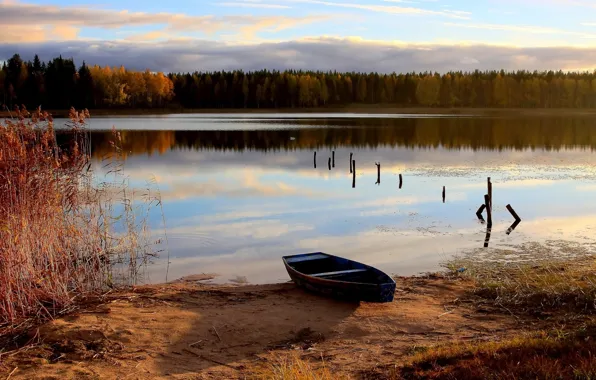 Картинка осень, лес, река, лодка, old rowboat on a lake
