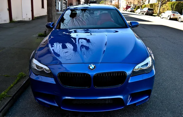 Картинка отражение, BMW, Blue, передок, F10