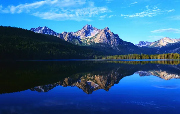 Картинка лес, горы, озеро, отражение