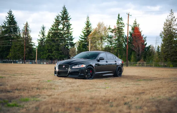 Jaguar, Black, XFR