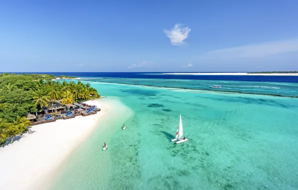 Пляж, пальмы, океан, остров, Мальдивы, курорт, лагуна, MALDIVES