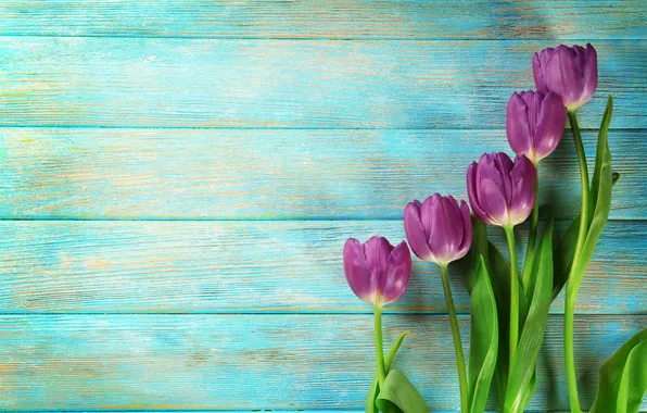 Цветы, букет, тюльпаны, wood, flowers, tulips, spring, purple