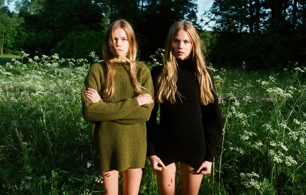 Лето, трава, Девушки, красотки, girls, естественная красота, девушки в свитерах