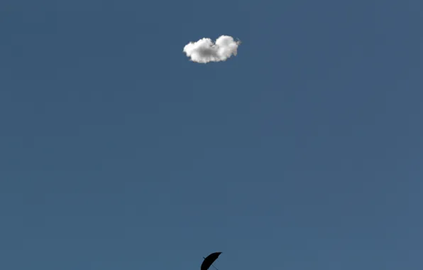 Картинка фон, зонт, облако