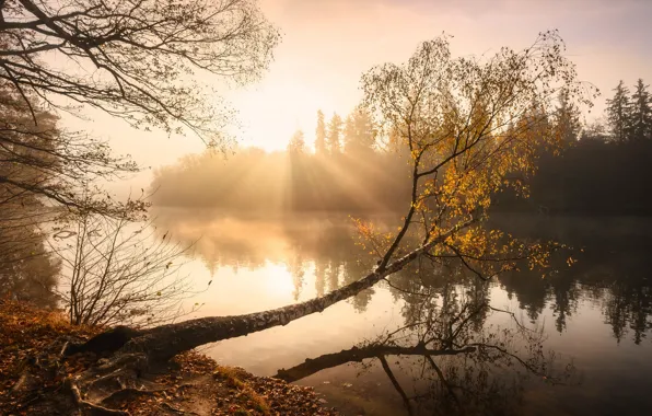 Осень, туман, озеро