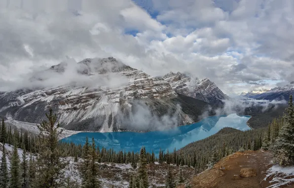Картинка горы, природа, Banff National Park, Alberta, Canada, Peyto Lake