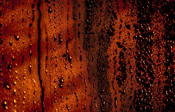 Glass, wet, rain, photography, the, steam, drop, water