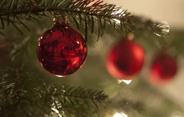 Шарики, елка, новый год, рождество, ветка, украшение