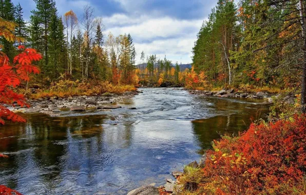 Осень, лес, река