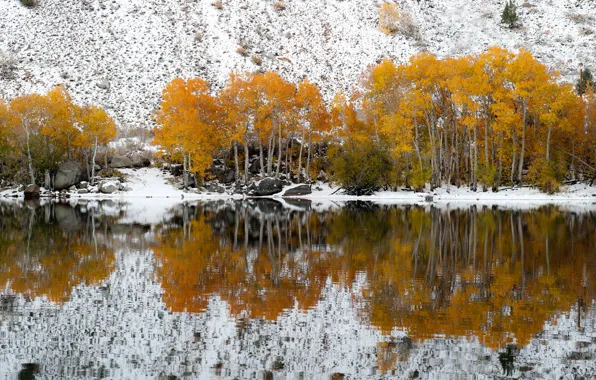 Картинка осень, снег, деревья, озеро, отражение, склон