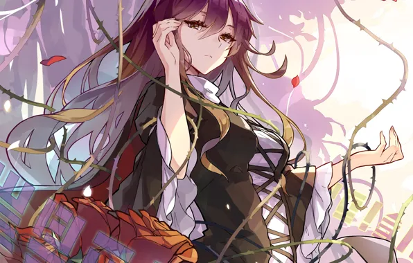 Взгляд, девушка, Touhou, Тохо, колючая лоза