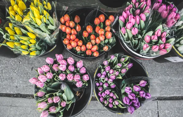 Картинка flowers, street, tulips