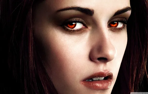 Кристен Стюарт, twilight, Bella Swan
