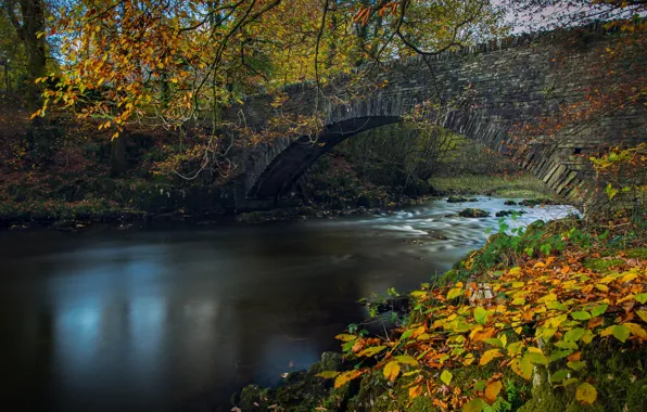 Осень, листья, ветки, мост, река, Англия, England, Озёрный край