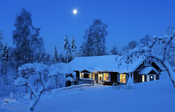Картинка зима, лес, свет, снег, деревья, ночь, огни, луна