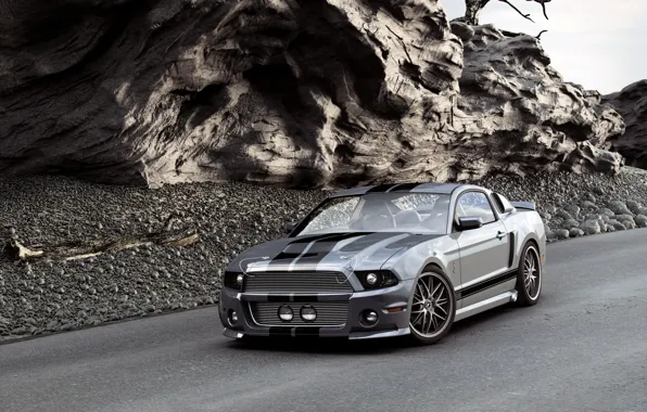 Shelby, GT500, мустанг, мускул кар, форд, Ford Mustang GT500