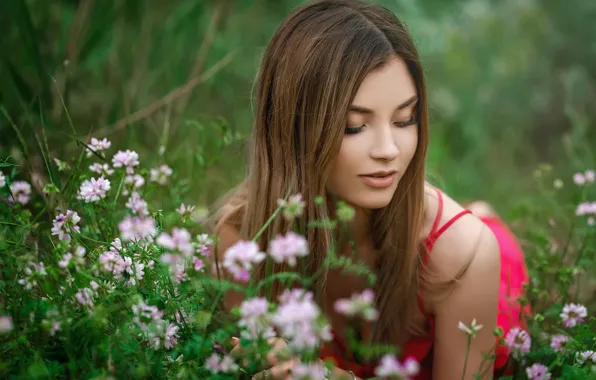 Картинка трава, девушка, цветы, платье, Sergey Gokk