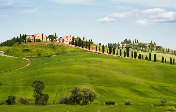 Italy, Tuscany, Val d'Orcia