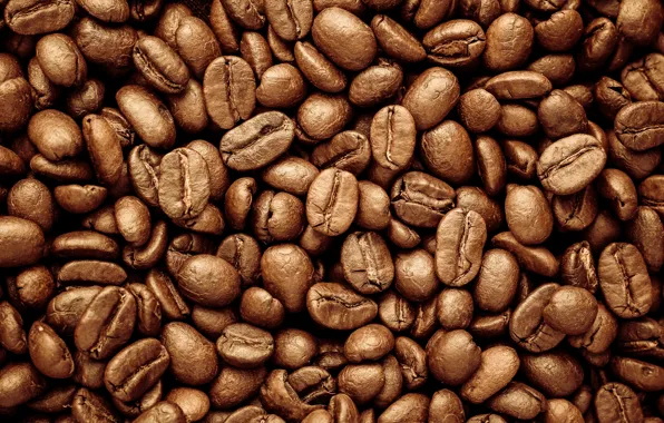 Фон, кофе, зерна, texture, background, beans, coffee, roasted