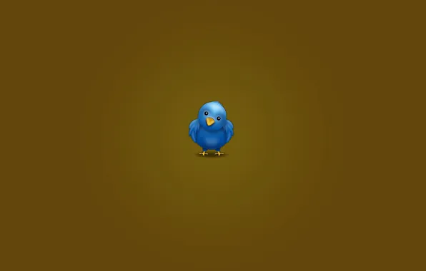 Картинка птицы, птица, обои, минимализм, твиттер, twitter wallpapers