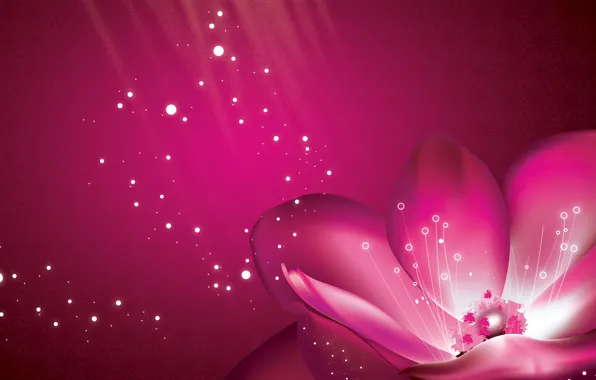 Картинка цветок, фон, розовый, лепестки, пурпур
